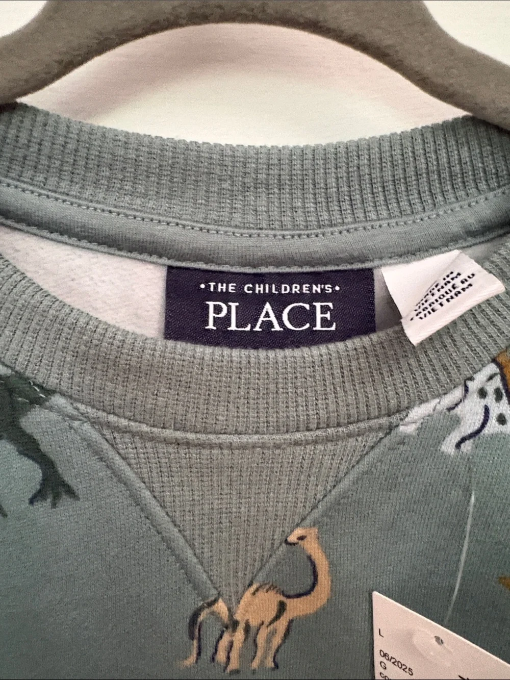 4/$20 🌱 NWT Dino Print Sweatshirt